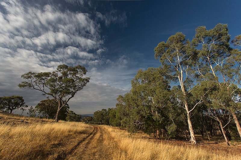 pinnacle dog walk.jpg